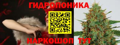 молекула духа Заводоуковск
